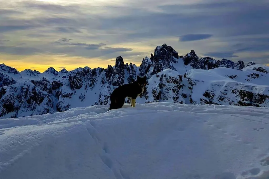 Appartamento Daniela Dolomiti. Auronzo di Cadore